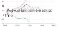 为什么信用300029卡突然刷不了？