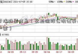 奇瑞股票信息（比亚迪股公明证券开户票）