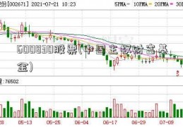 600830股票(中国主权财富基金)