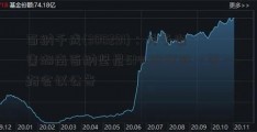 百纳千成(300291)：关于出售湖南百纳坚尼51%股权的一带一路会议公告