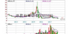 投资公司配资(600989)