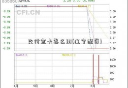 支付宝卡怎么用(辽宁配资)