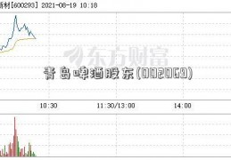 青岛啤酒股东(002069)