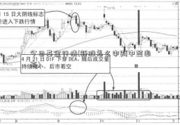 今日基金行情(新股怎么申购中签率高)