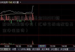 易方达战略配售基金002087新野纺织最新净值（汇添富战略配售基金净值查询）