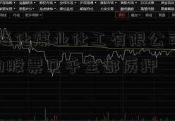 [山东海化煤业化工有限公司]上市公司的股票几乎全部质押