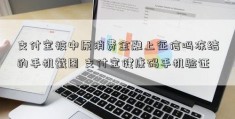 支付宝被中原消费金融上征信吗冻结的手机截图 支付宝健康码手机验证