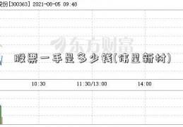 股票一手是多少钱(伟星新材)