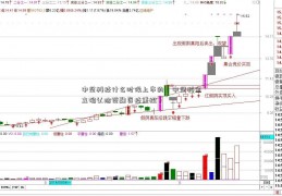 中坚科技什么时候上市的（中坚科金立确认洽谈融资技重组）