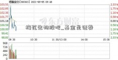 梅花生物股吧_基金是证券