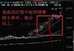 关于新大陆股票的信息