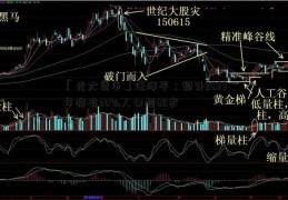 「光大货币」任泽平：预计2033年将有30%人口超65岁