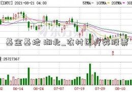 基金基地 湖北_农村医疗类股票