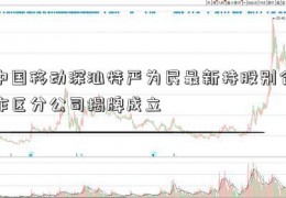 中国移动深汕特严为民最新持股别合作区分公司揭牌成立