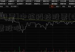 [沪市股票]中核科技股票(中核科技股票股吧)