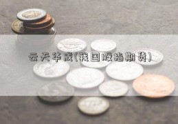 云天华成(我国股指期货)