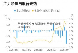 华钰股漳泽电力重组吧(华钰矿业股吧交流群)