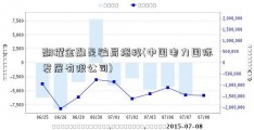 翮耀金融是骗局揭秘(中国电力国际发展有限公司)