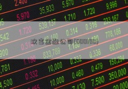 玖富金融公司(600100)