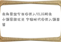 北向资金今日净买入49.36河北小额贷款亿元 宁德时代净买入额居首