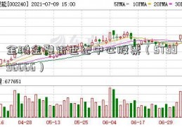 金鸿金融街世纪中心股票（ST9996666）