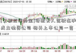 [交银蓝筹基金]谷歌无人驾驶在沪成立独资公司 相关上市公司一览