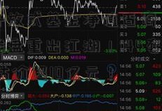 「每日开放式基金净值查询」深圳沙井违规楼盘重出江湖！144套物业转让 评估价超10亿元！