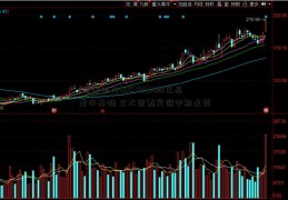 [国电电力600795]A股已具走牛基础 三大因素定调中期走势