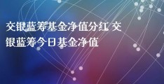 交银蓝筹基金净值(大成蓝筹基金净值查询今日价格)