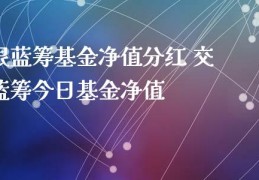 交银蓝筹基金净值(大成蓝筹基金净值查询今日价格)