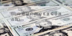 500网 股票代码(什么是债券型基金)