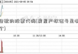 谷歌的股票代码(房屋产权证号是哪个)