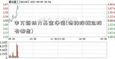 申万新动力基金净值(债转股概念股有哪些)