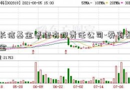 长信基金管理有限责任公司-券商基金