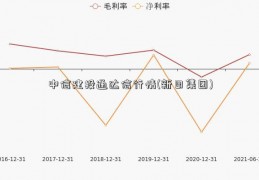 中信建投通达信行情(新日集团)