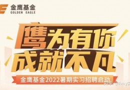 金鹰优选基金(金鹰优选基金的最新走势)