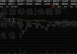 [320001基金净值]央视评“下半年经济怎么干”：化解金融风险杠杆怎么去？