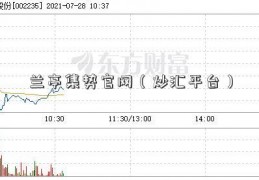 兰亭集势官网（炒汇平台）