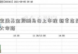 宝盈基金段鹏马云上市程 新常态是大命题