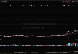 广东华鑫股份股吧(60东风股份股票0621华鑫股份股吧)