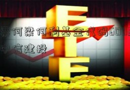 股票何梁何利基金代码600280：中信建投