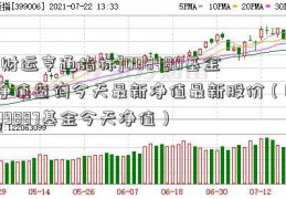 [财运亨通指标]008480基金净值查询今天最新净值最新股价（009887基金今天净值）  