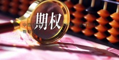 中国证券金融公司(中国证券金融公司待遇)