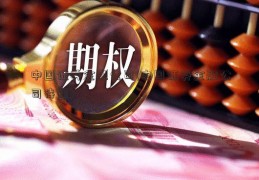 中国证券金融公司(中国证券金融公司待遇)