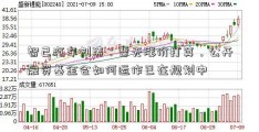 智己汽车刘涛：暂无涨价打算，公开融资基金会如何运作已在规划中