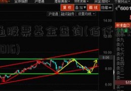 海富通股票基金查询(佰仟金融倒闭了么2016)