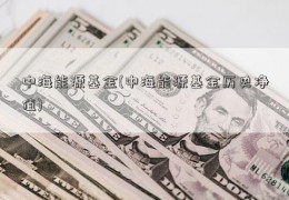 中海能源基金(中海能源基金历史净值)