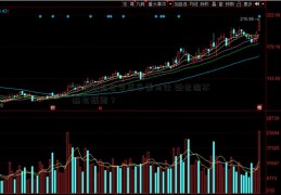 买炒股怎么学再多爱马仕 她也混不进名媛圈？