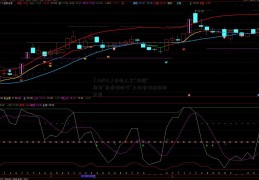 「162411」中外人士“云端”展望“后疫情时代”上海合作组织的发展