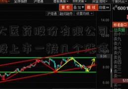 北大医药股份有限公司-2017年新股上市一般几个涨停